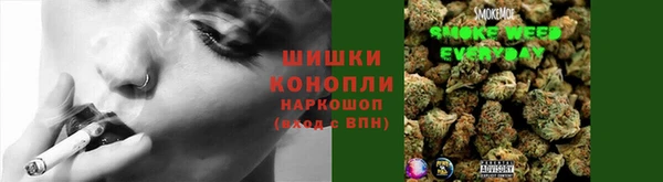 хмурый Краснослободск