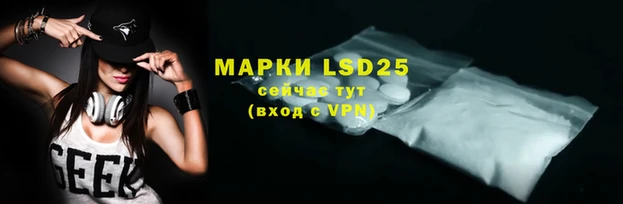 эйфоретик Кукмор