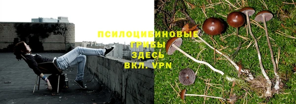 MDMA Куйбышев
