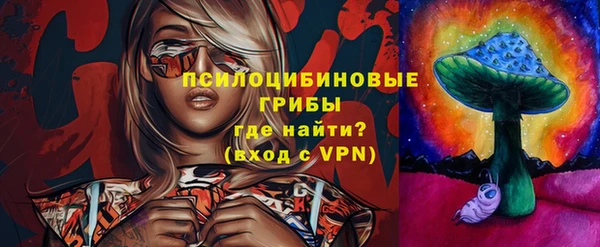 бошки Кулебаки